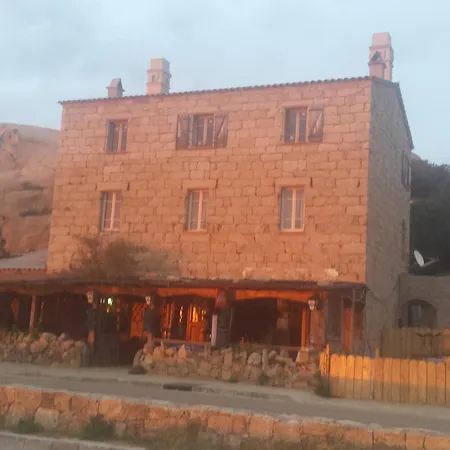 L'oasis Du Lion * Sarragia