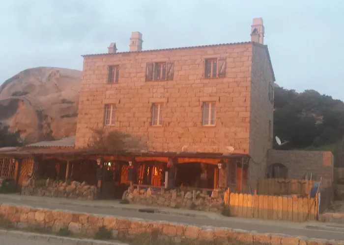 L'oasis Du Lion * Sarragia